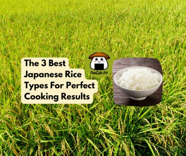 japanese rice types cover